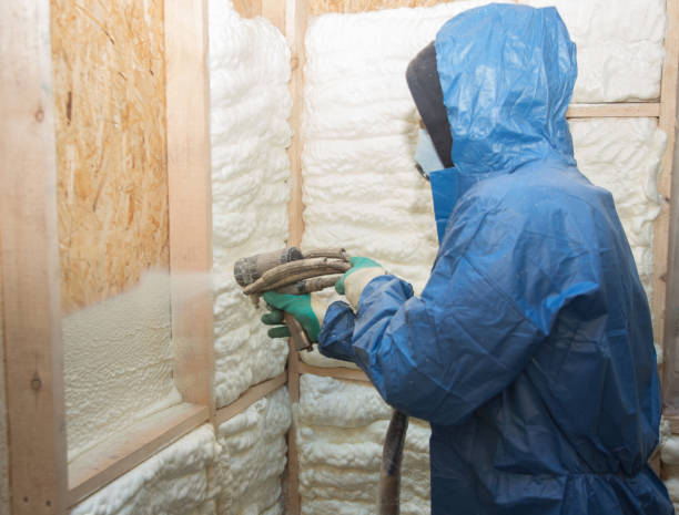 Best Insulation Air Sealing  in USA